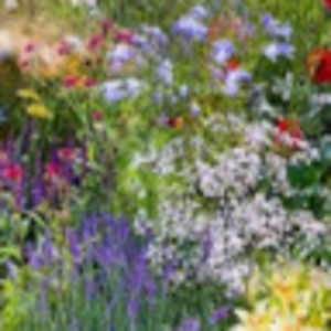 Meet your Posher, Cailynn